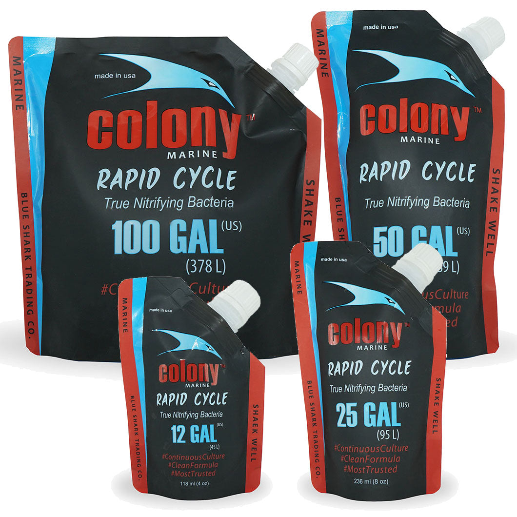 ATM Colony Marine Benifical Bacteria