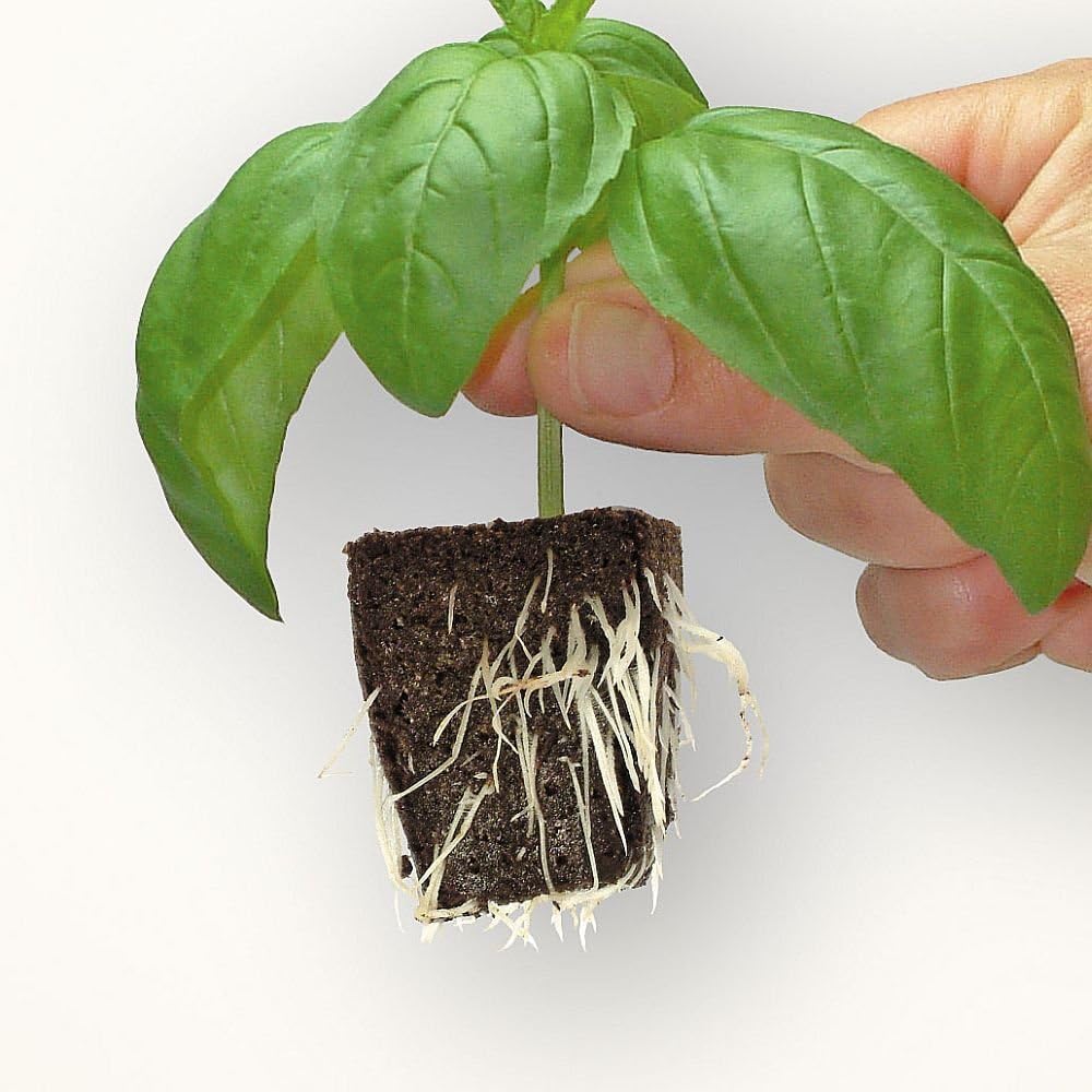 Growth Technology Root Riot