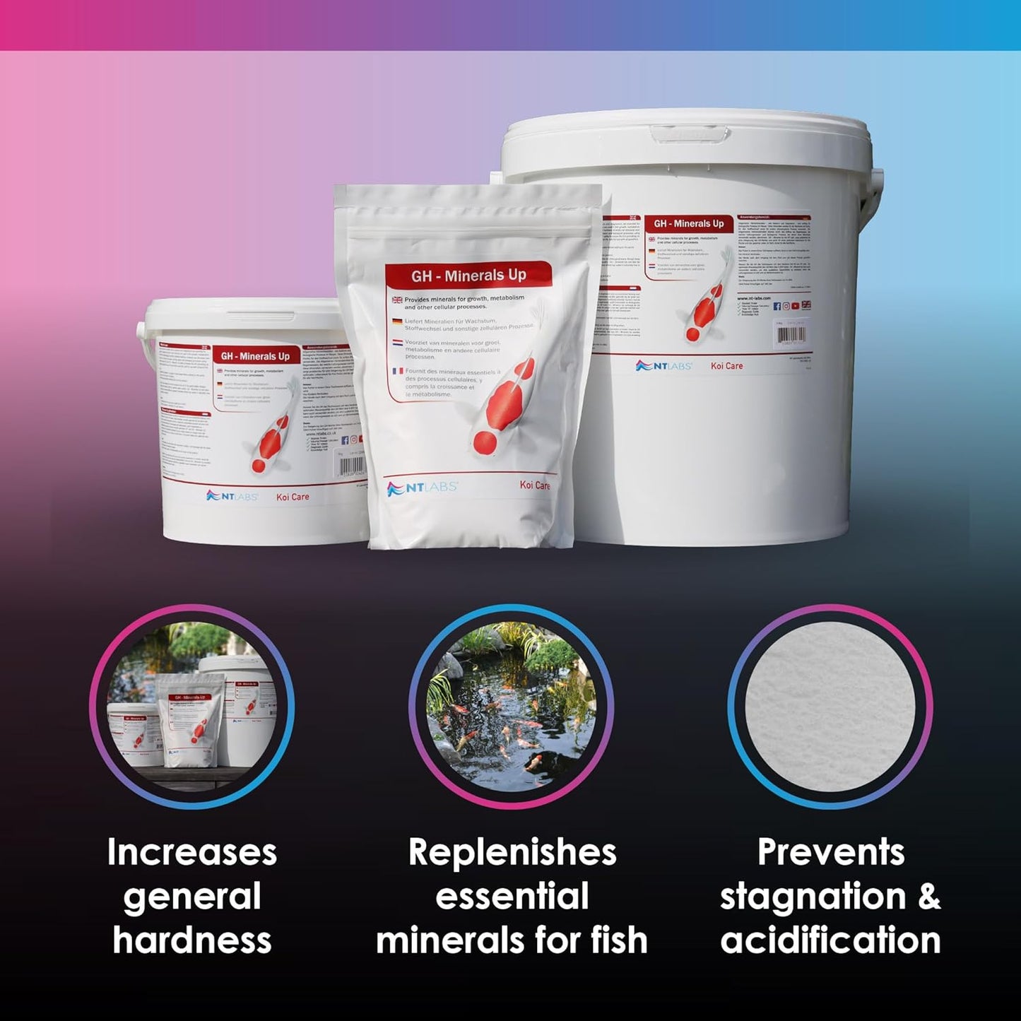 NT Labs GH - Minerals Up