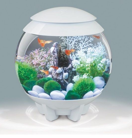 biOrb HALO 15 - White - MCR LED