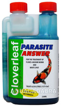 Cloverleaf Parasite Answer
