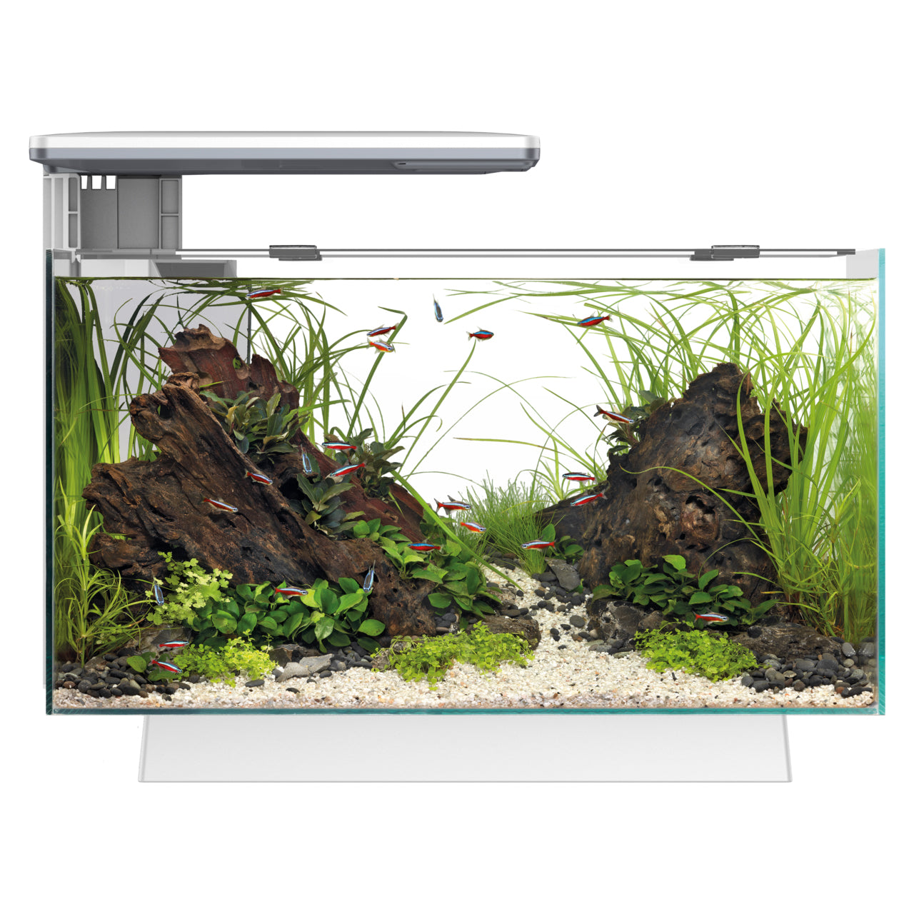 Superfish Quadro 40 Multi-Colour LED Aquarium