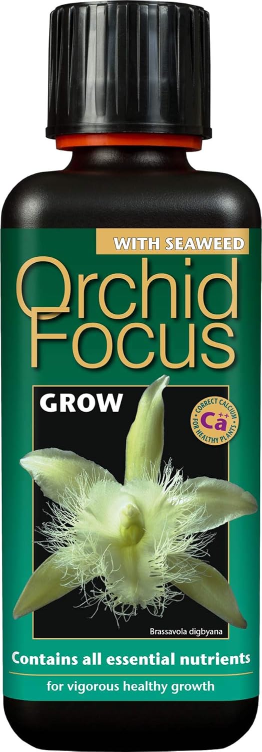Growth Technology Orchid Focus Grow