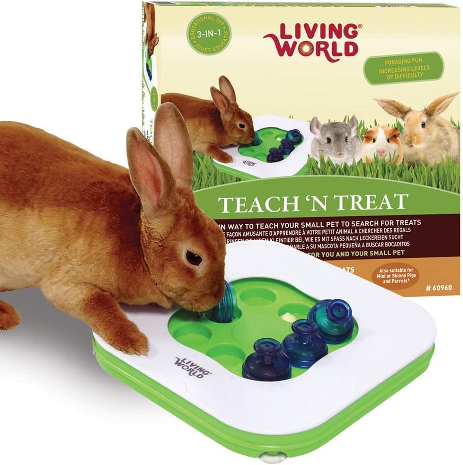 Living World Teach Treat Toy from Aquacadabra