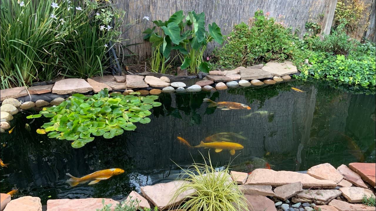 Bermuda Garden Outdoor PVC Pond Liners