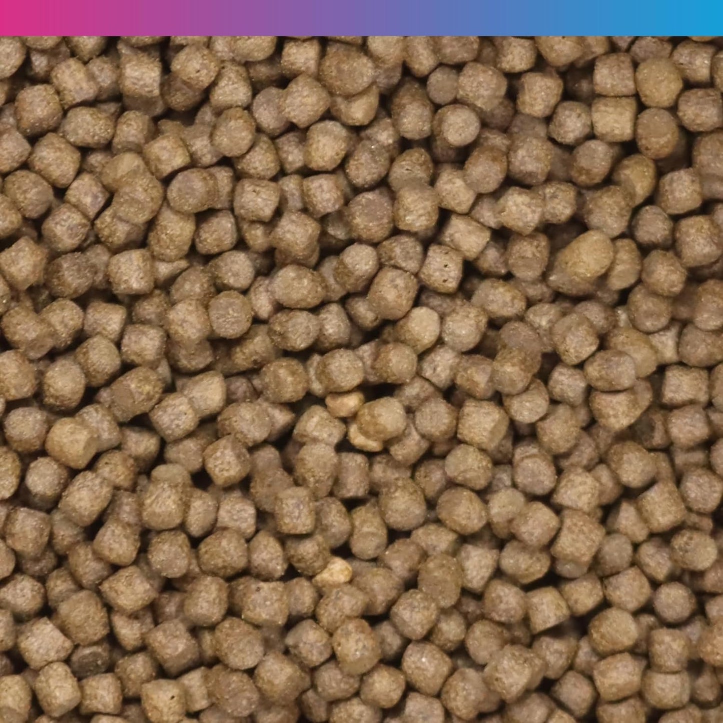 NT Labs EconoKoi Pond 10kg 6mm Pellets