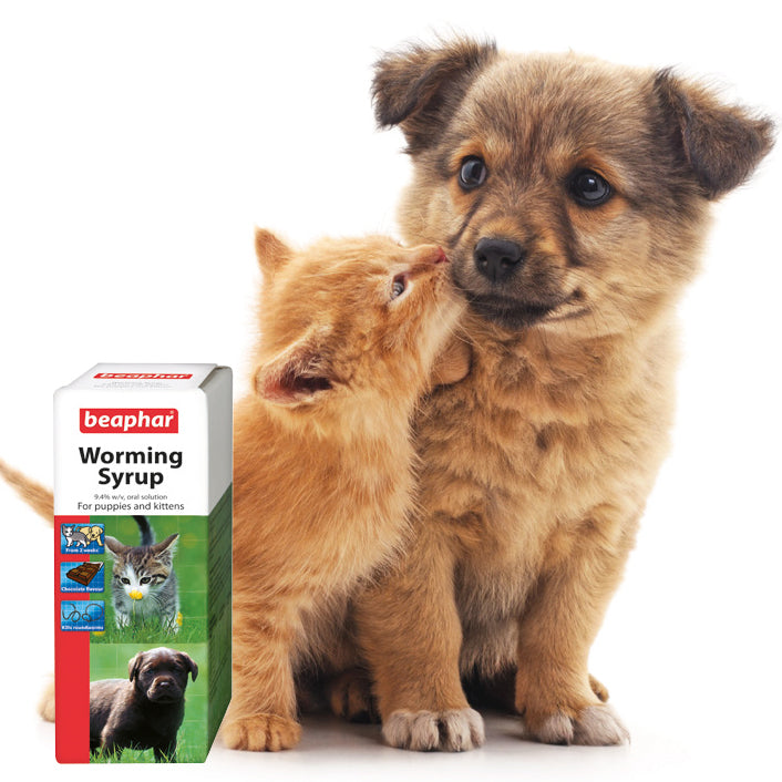 Beaphar Worming Syrup for Puppies Kittens - Treats Roundworms - 45ml