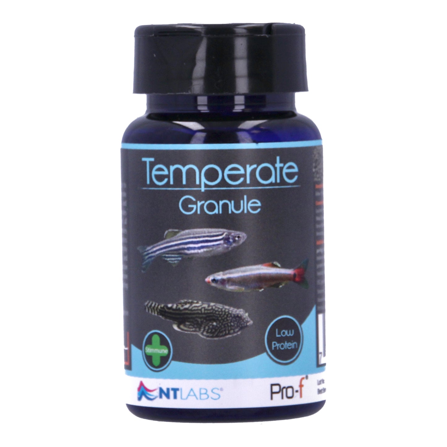 Nt Labs Temperate Granule Fish Food 40g