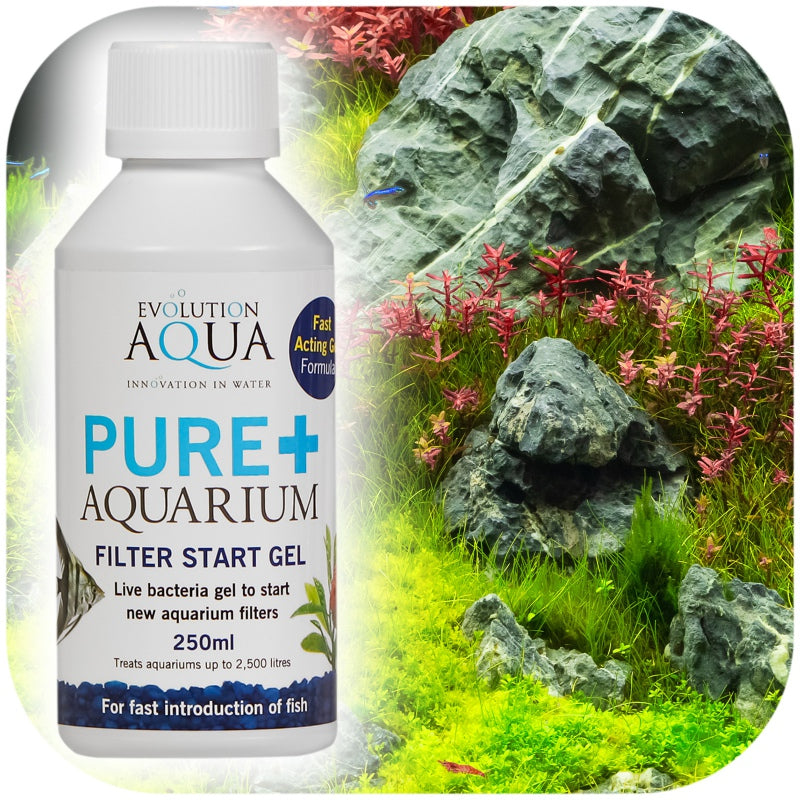 Evolution Aqua PURE Filter Start Gel 250ml