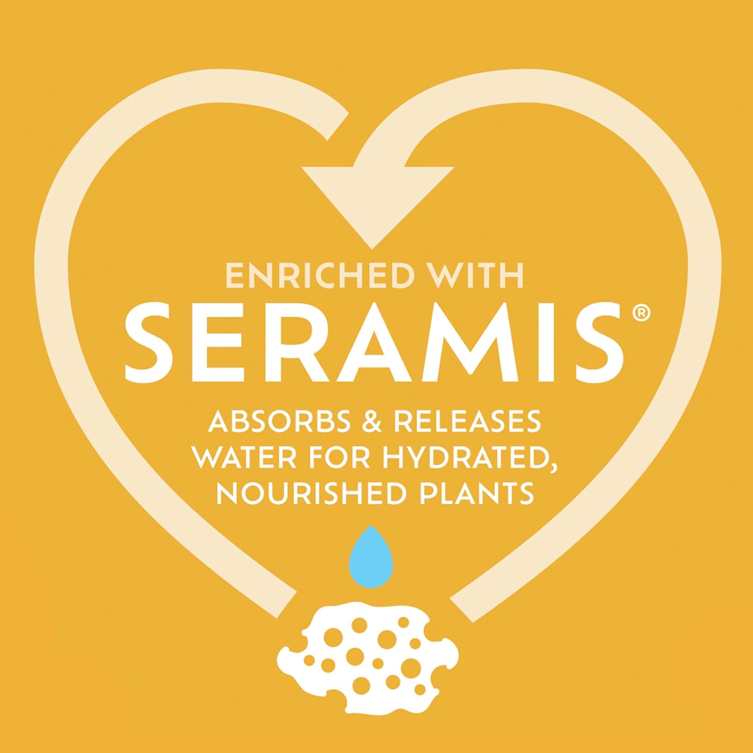 Westland Citrus Potting Mix Peat Free 10L