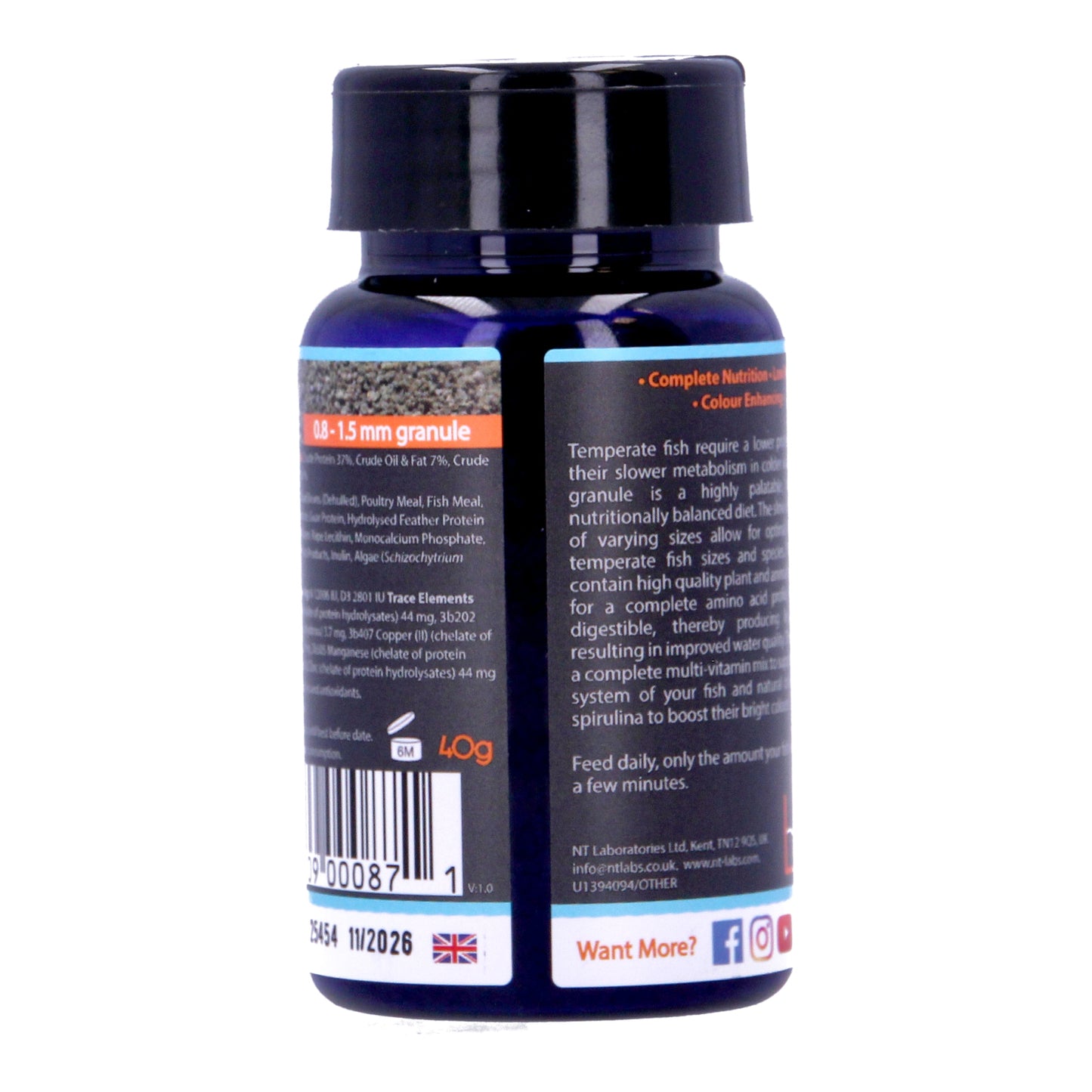 Nt Labs Temperate Granule Fish Food 40g
