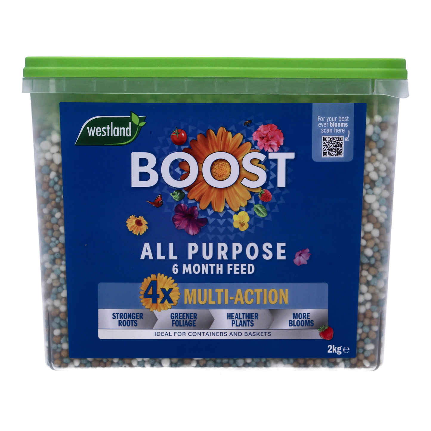 Westland Boost All Purpose 6-Month Feed 2kg