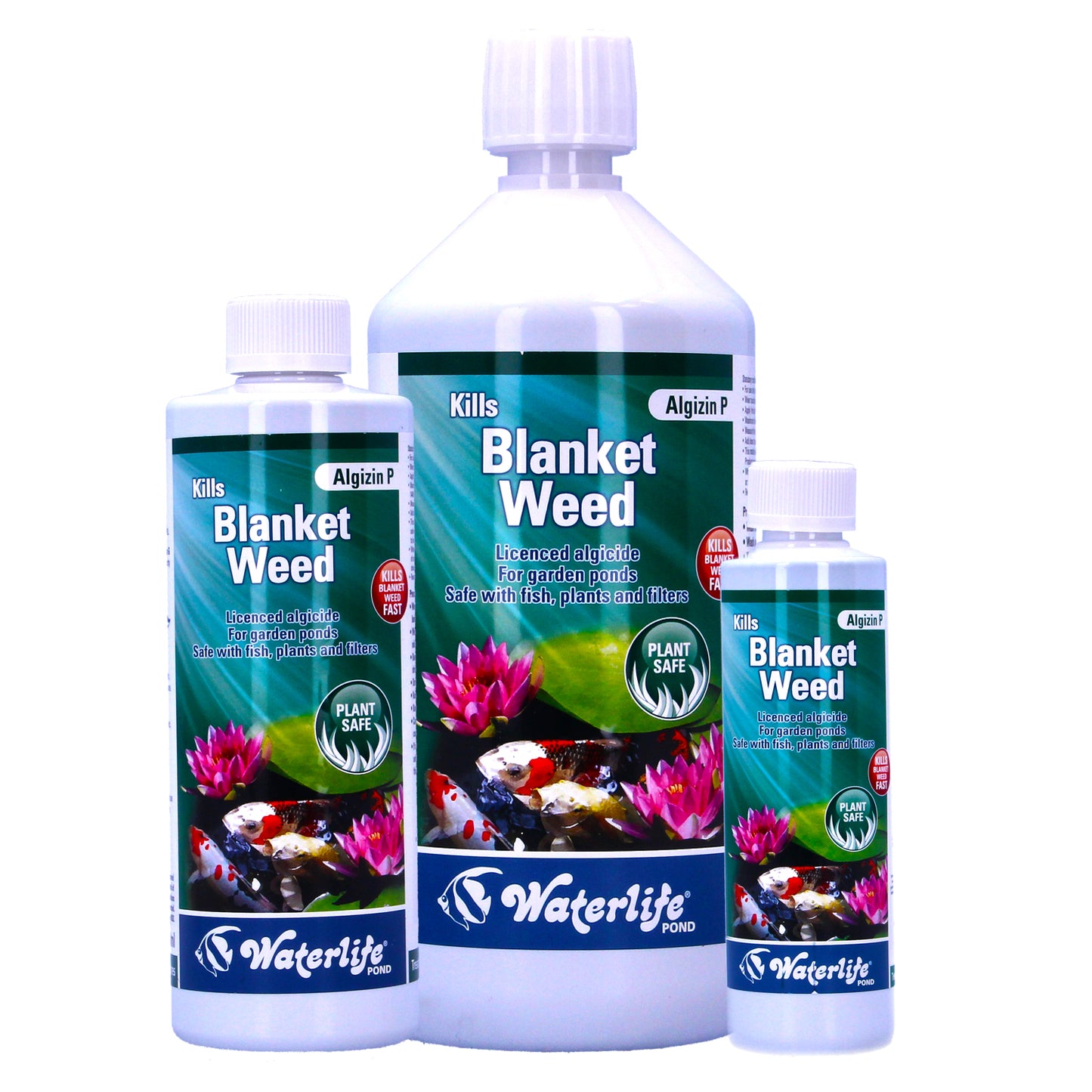 Waterlife Algizin P Pond Blanketweed Control Treatment Green String Thread Algae