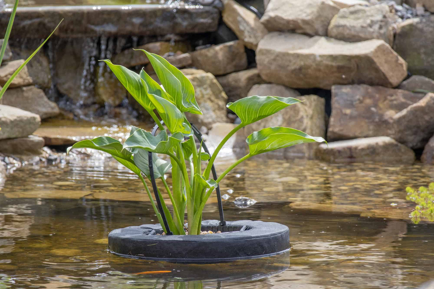 Laguna Round Basket Set Velda Gravel 8kg and 20L Pond Plant Soil Bundle