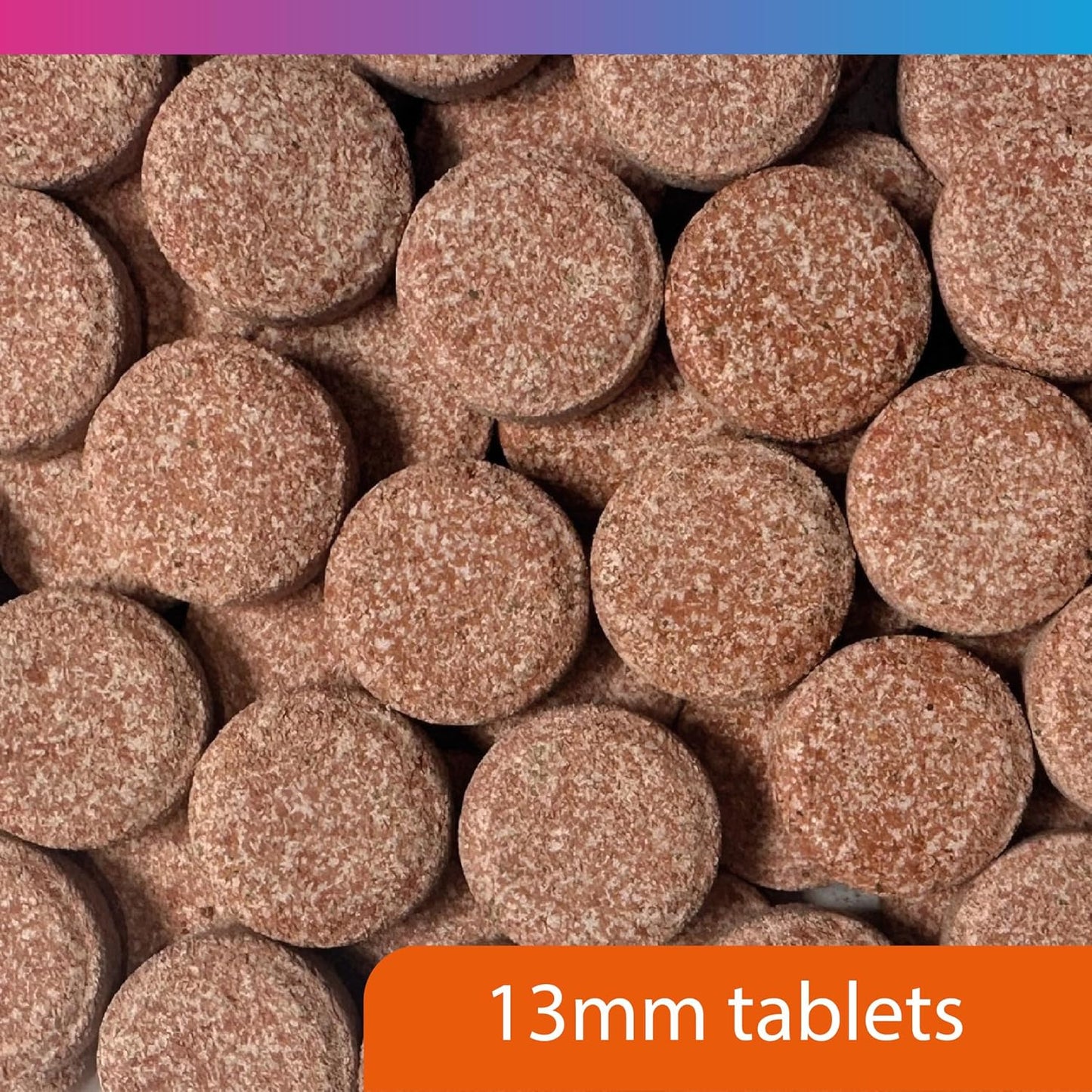 Nt Labs Pro-F Fish Food Treat Tablets 40g