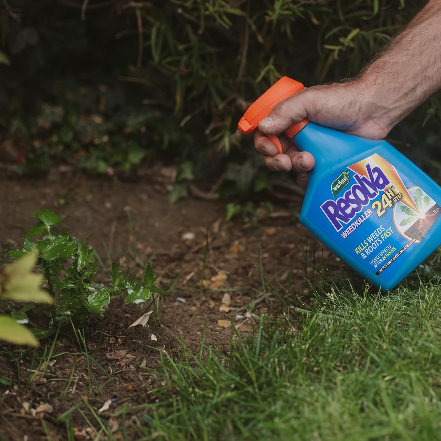 Resolva Weedkiller 24H RTU 800ml + 25% Extra Free RTU