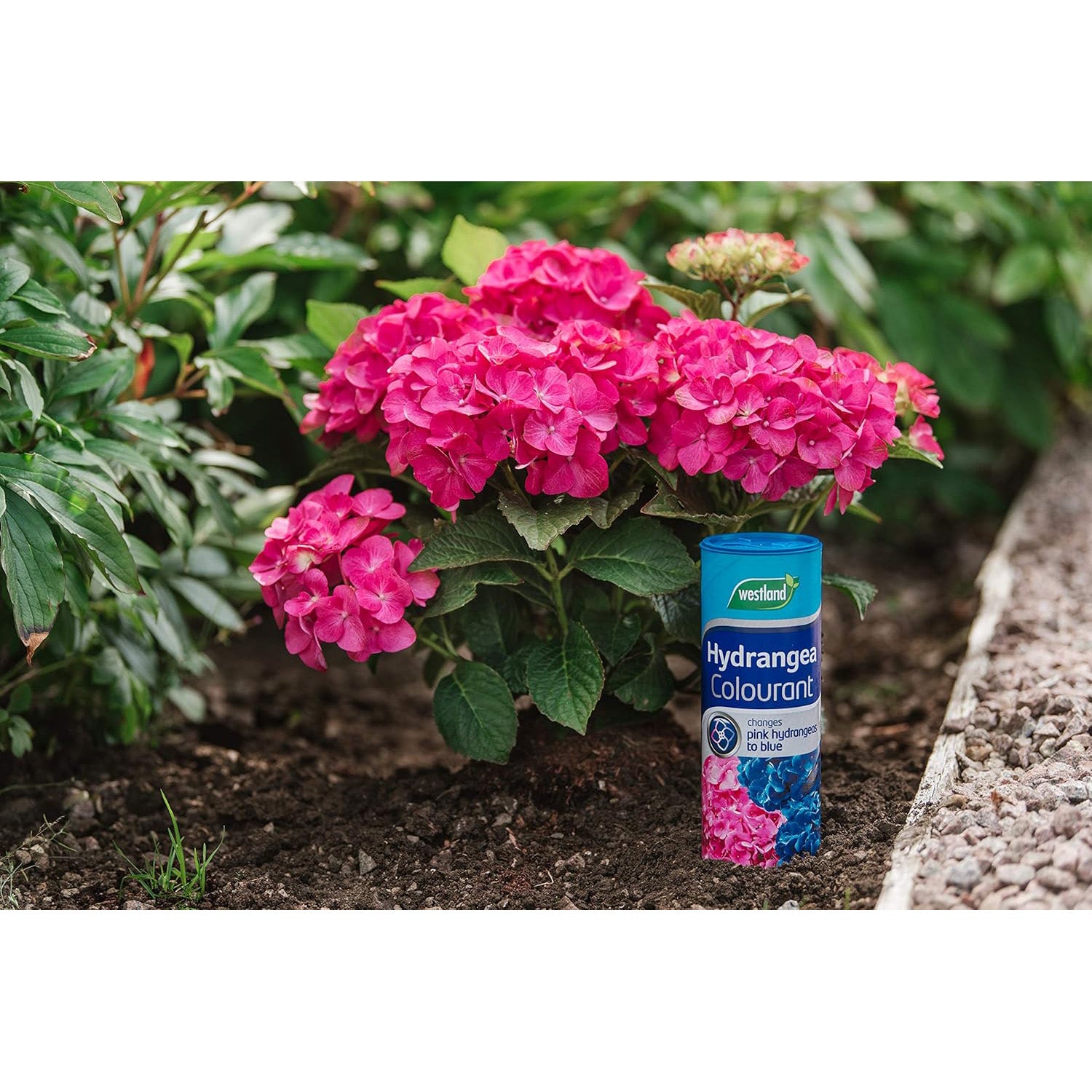 Westland Hydrangea Colourant 500g