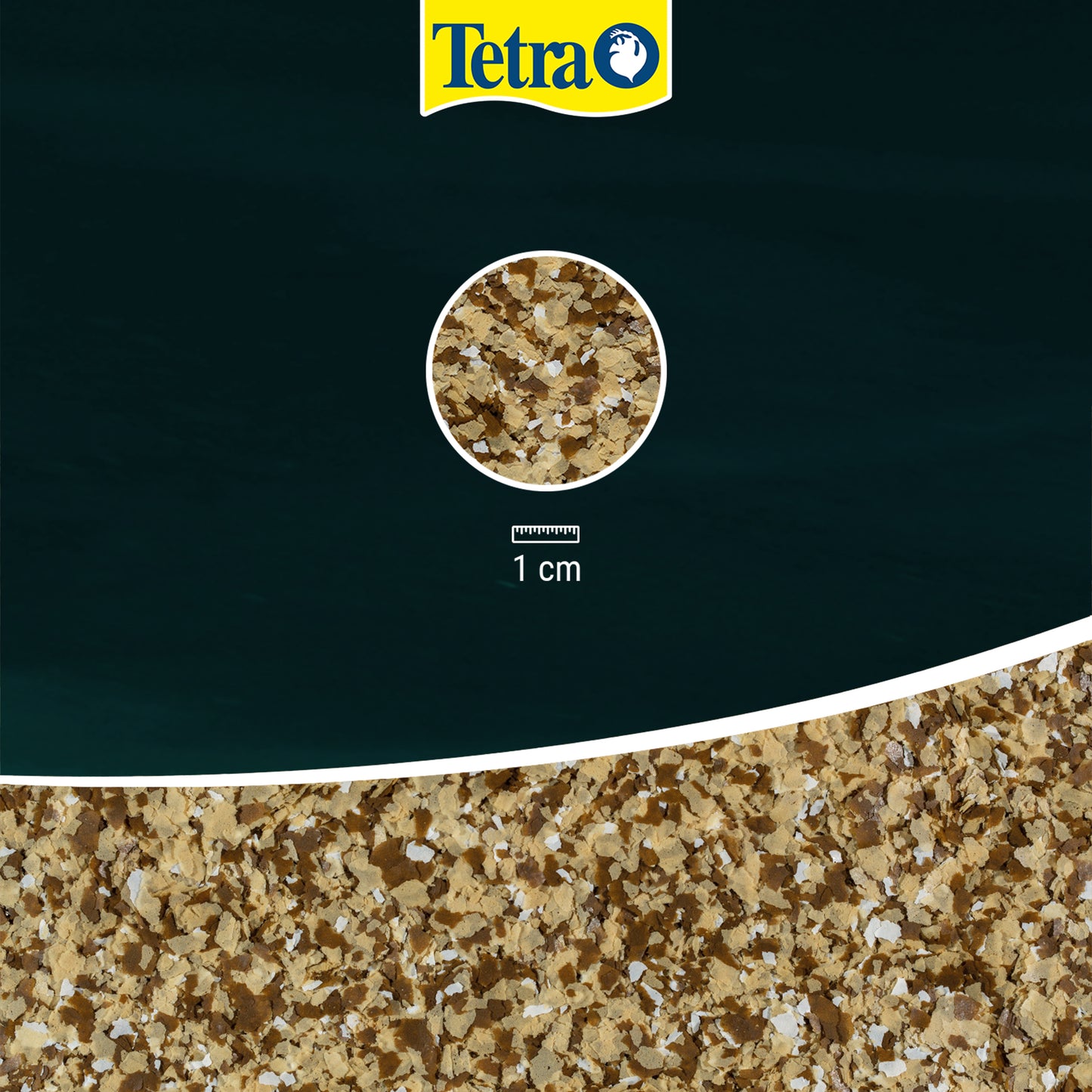 Tetra Pond Flakes 100g - T366