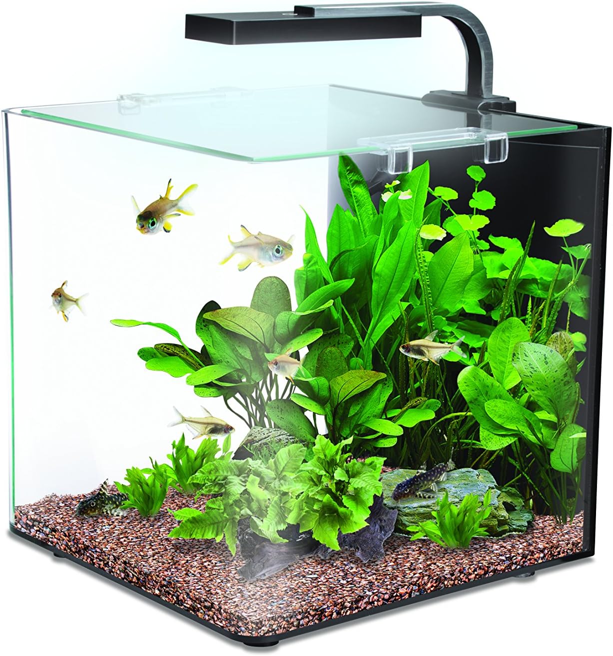 Interpet Nano LED 2 Month Service Cartridge