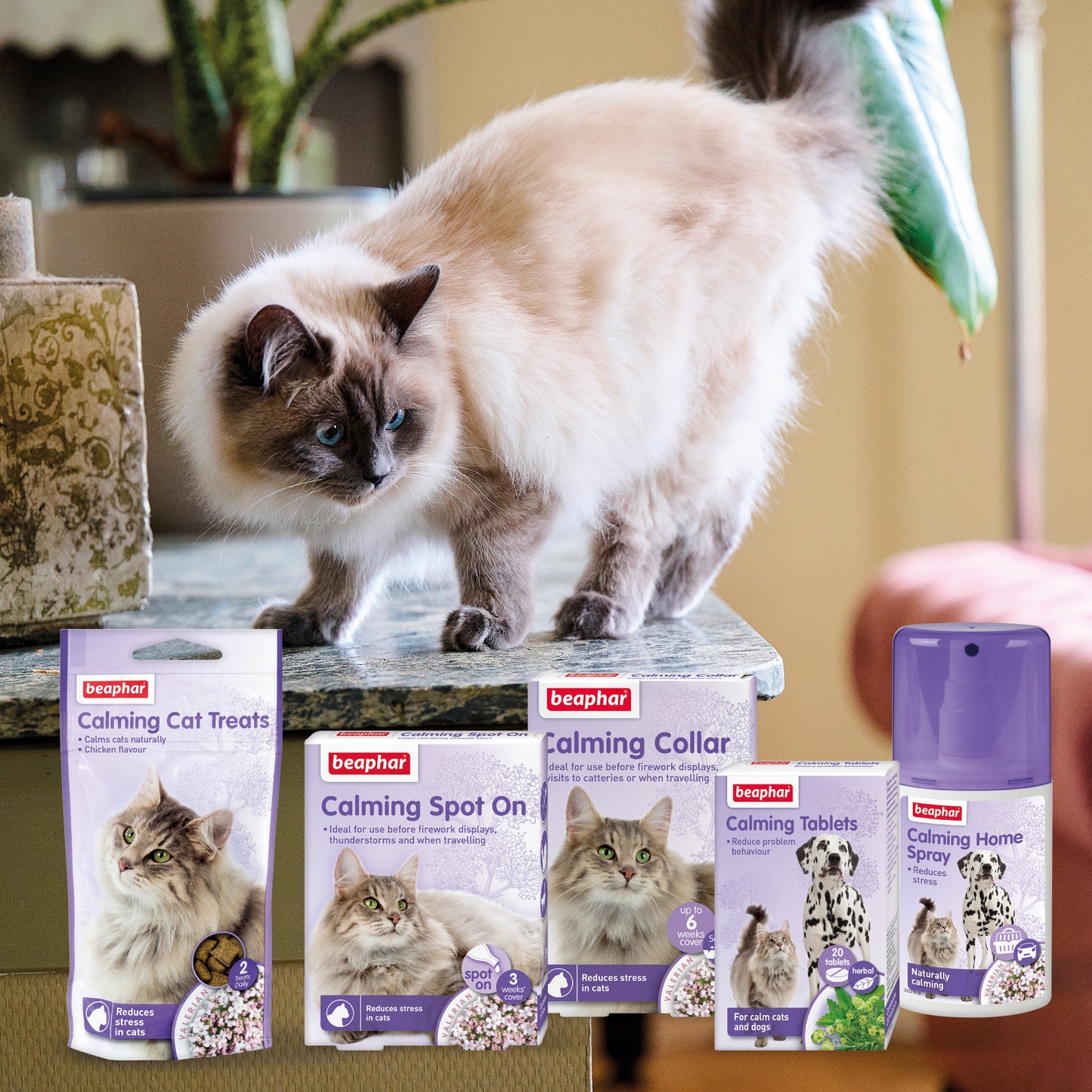 Beaphar Calming Spot-On Cat 0.4ml x3