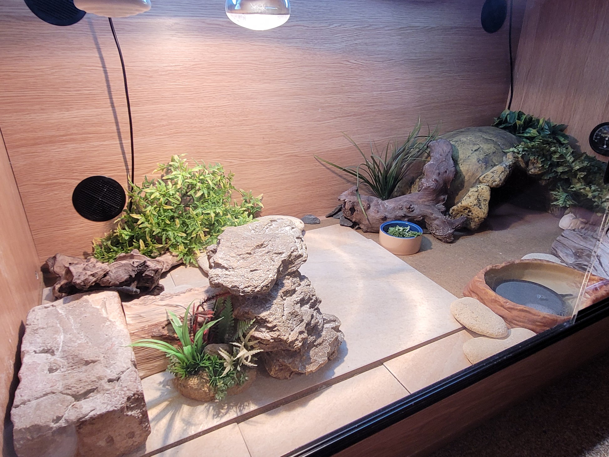 Exo Terra Tortoise Reptile Hide Shelter Cave