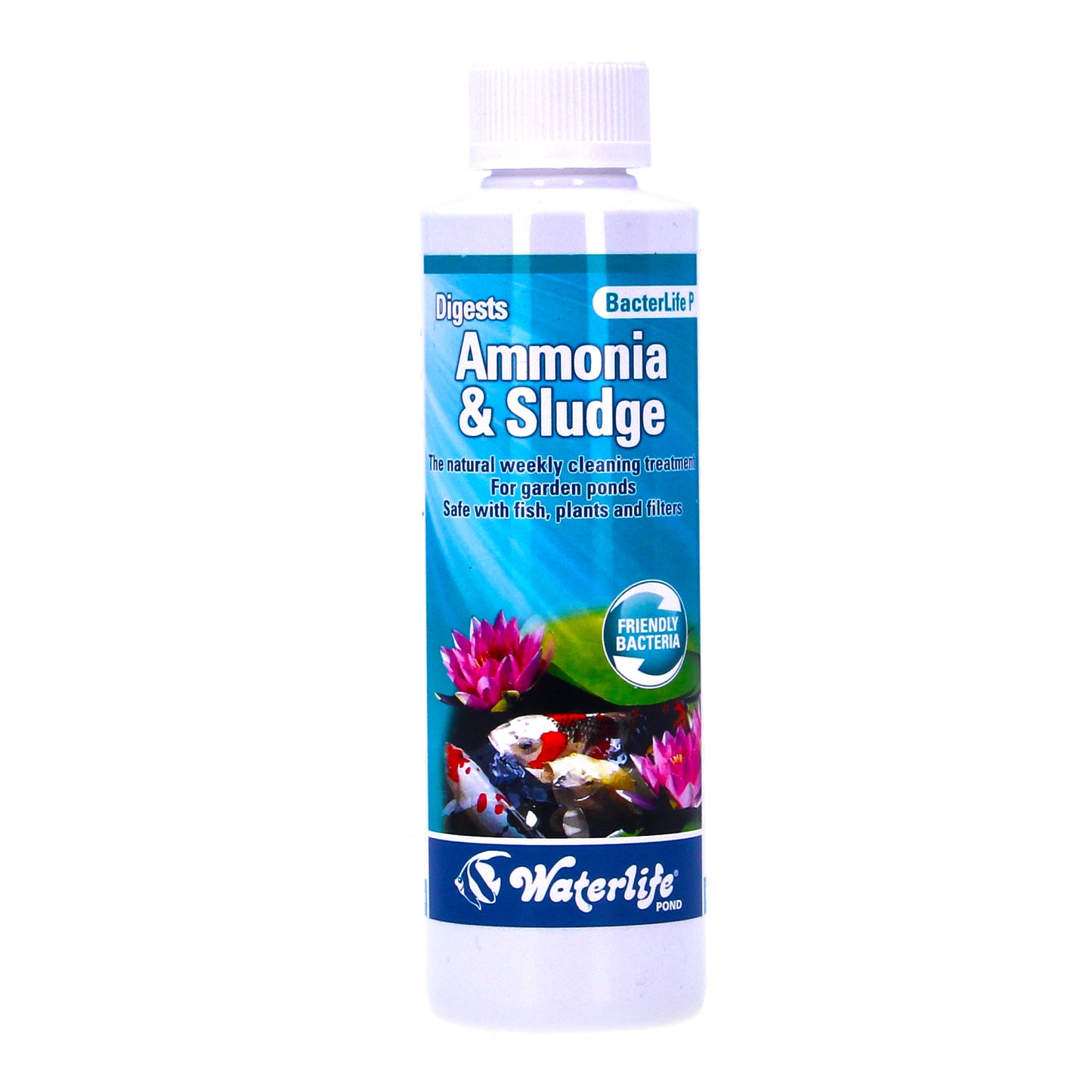 Sludge Bundle: Laguna Pond Vac & Bacterlife P