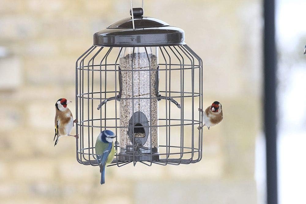 Gardman Heavy Duty Squirrel Proof Seed Feeder