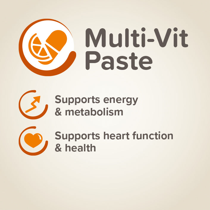 Beaphar Multi-Vitamin Paste for Dogs