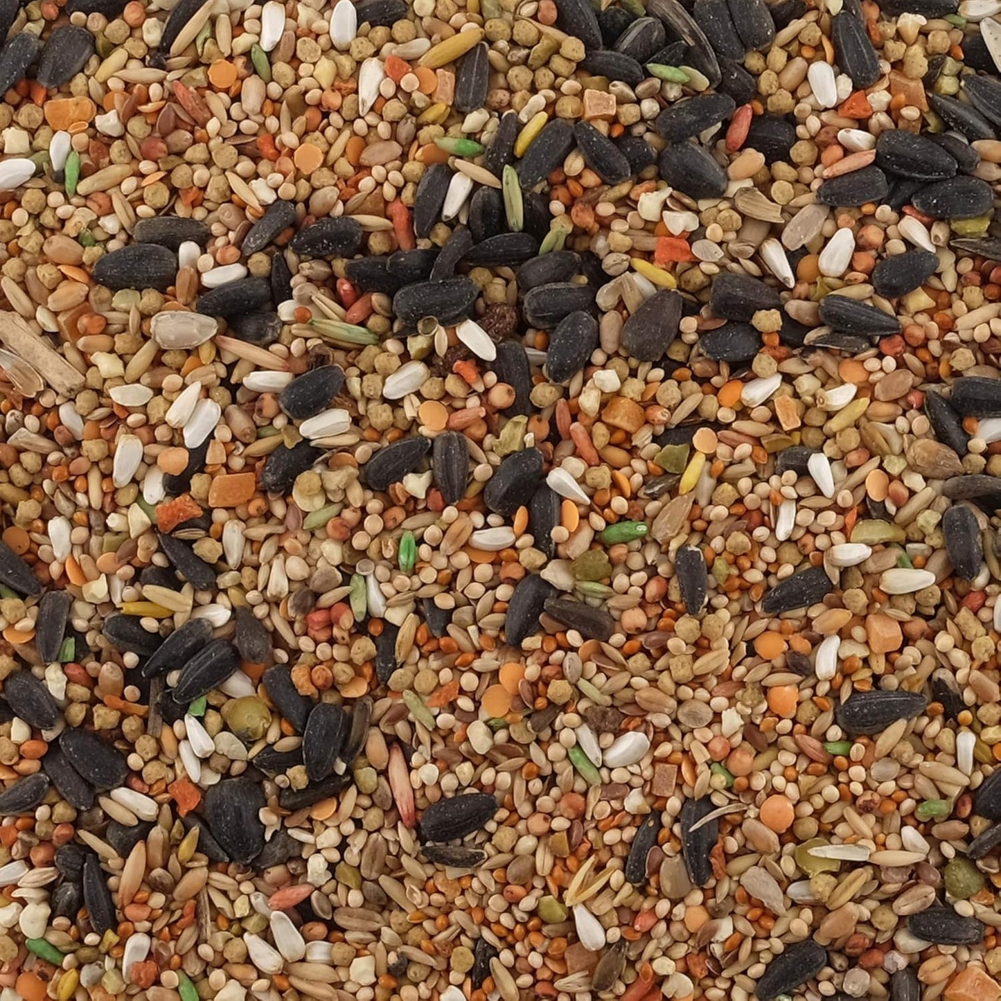 Living World Premium Food for Lovebirds/Cockatiels 908g