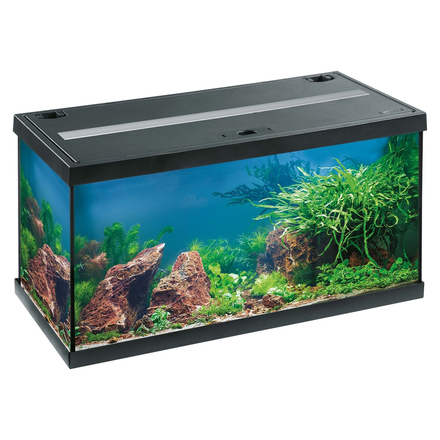 Eheim Aquastar 54L LED Aquarium Starter Set