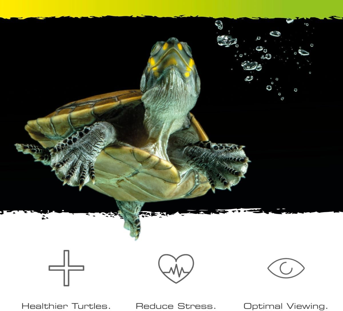 Exo Terra Turtle Haven Aquatic Terrarium