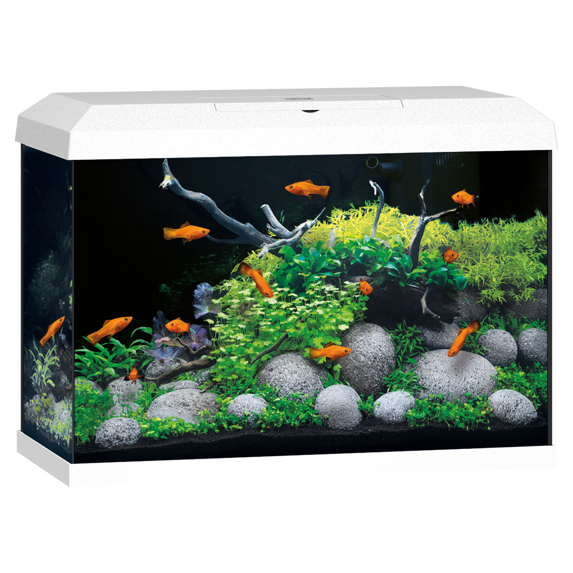Juwel Primo 70 White Aquarium