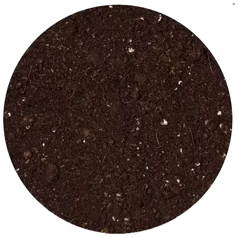 Growth Technology Citrus Focus Repotting Mix Peat Free 8L