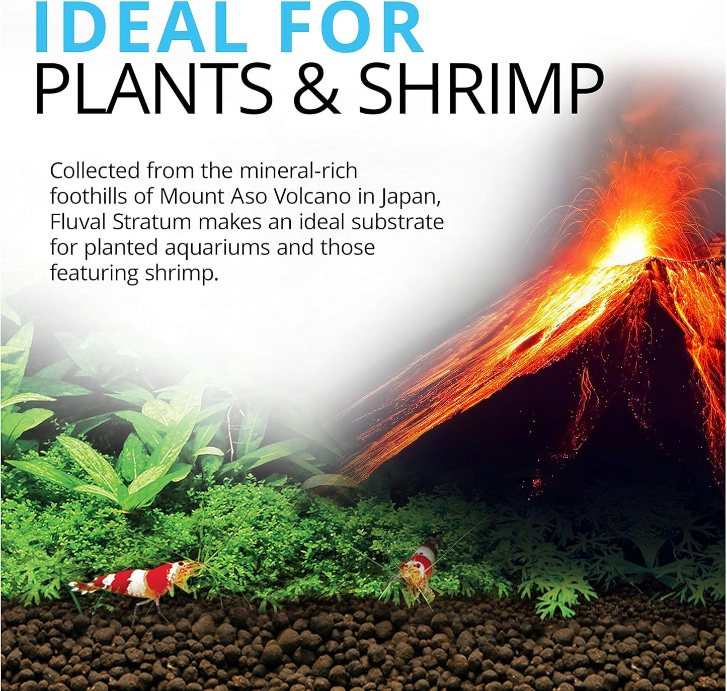 Fluval Plant & Shrimp Stratum