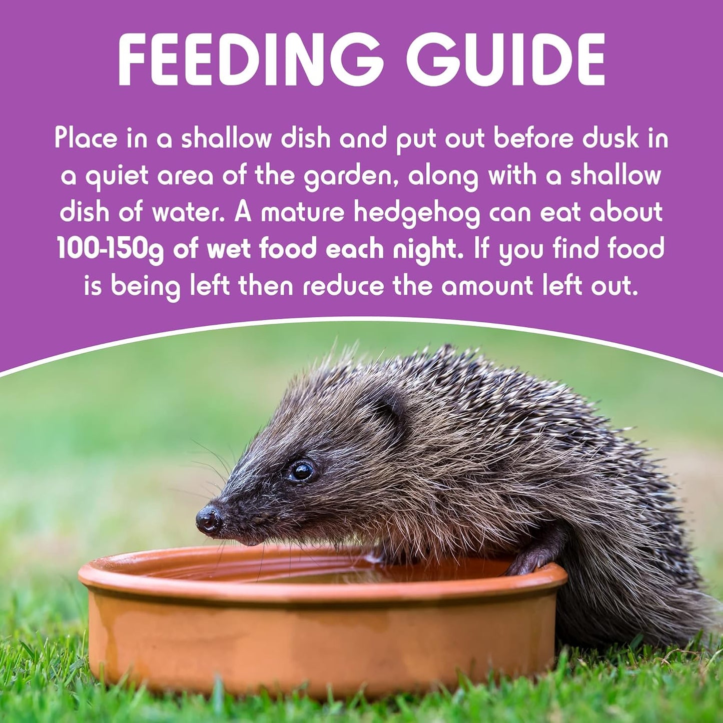 Spike's Meaty Feast Sausage Hedgehog Food Farm Feed