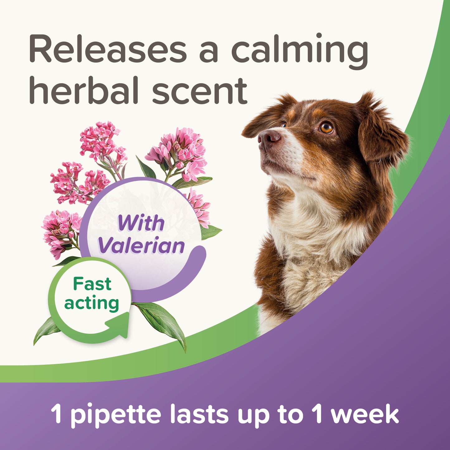 Beaphar Calming Spot-On Dog 0.7ml x3