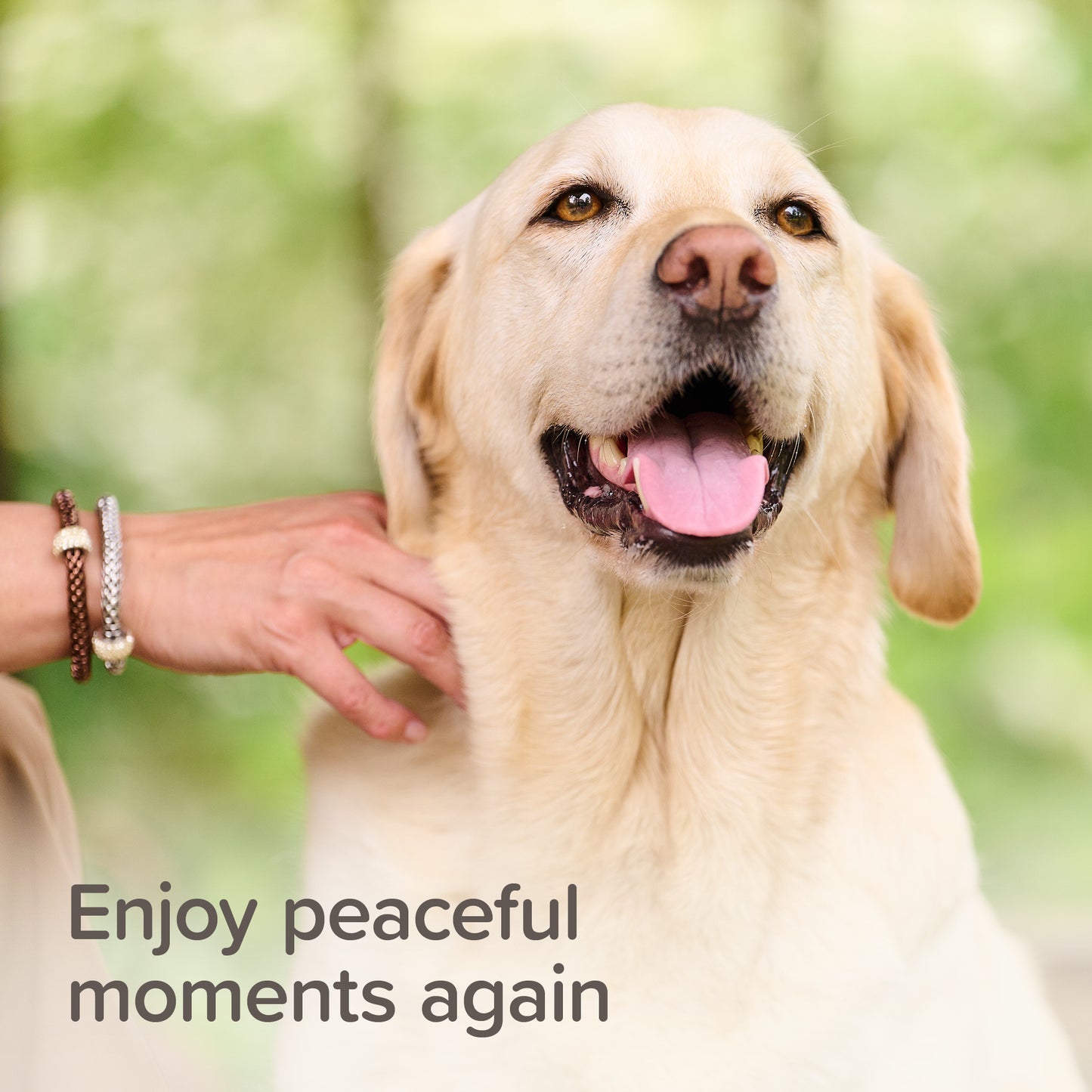 Beaphar Calming Spot-On Dog 0.7ml x3