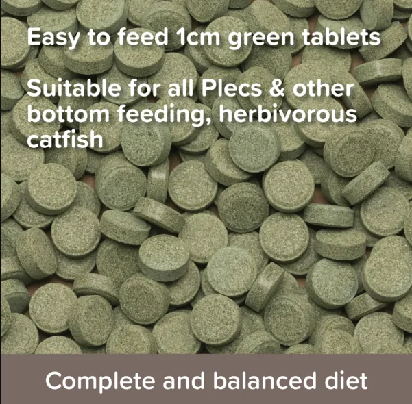 King British Pleco Tablets 150g