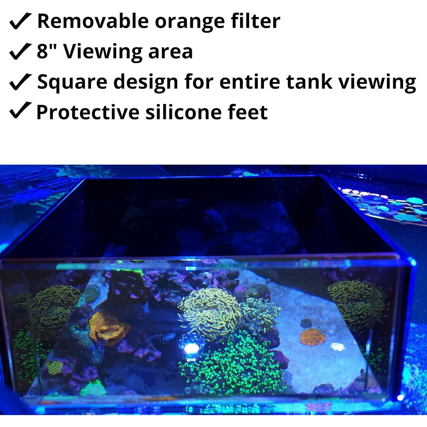 Flipper Floating Aquarium Top-Down Viewer
