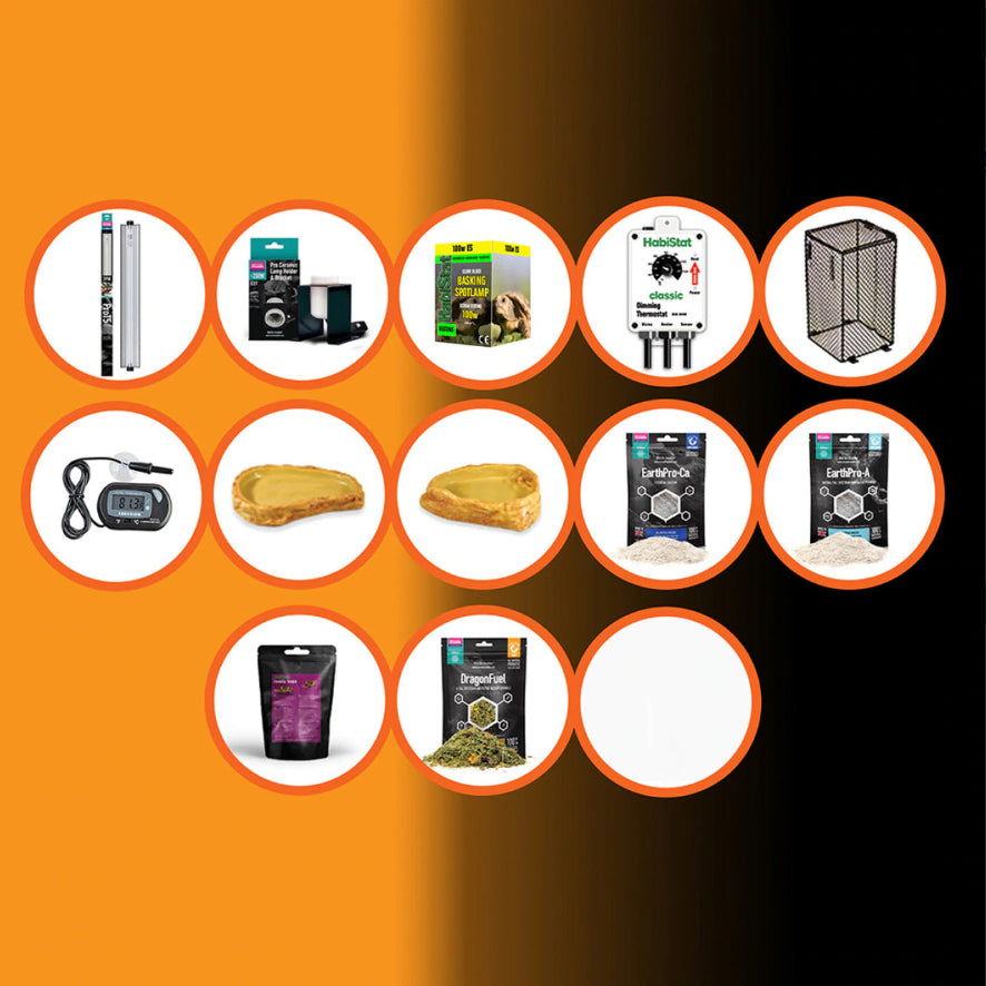HabiStat Bearded Dragon Accessory Kit