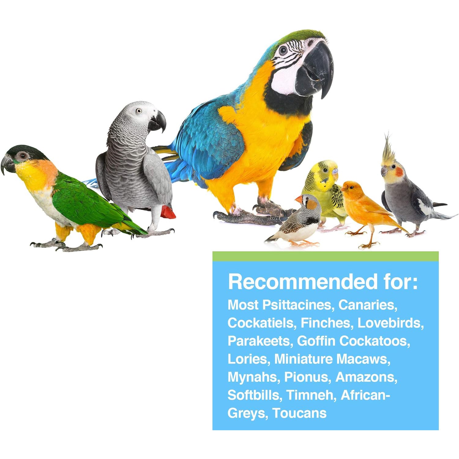 Hari Prime Vitamin Supplement 30g