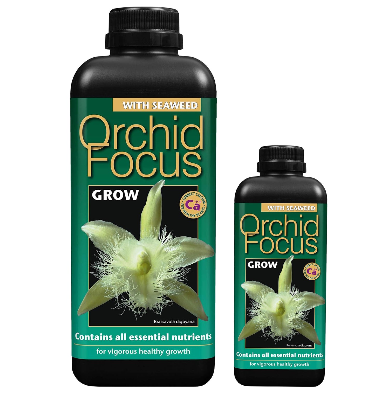 Growth Technology Orchid Focus Grow