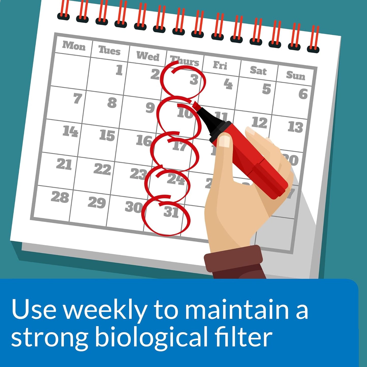 API Stress Zyme Bacteria Booster