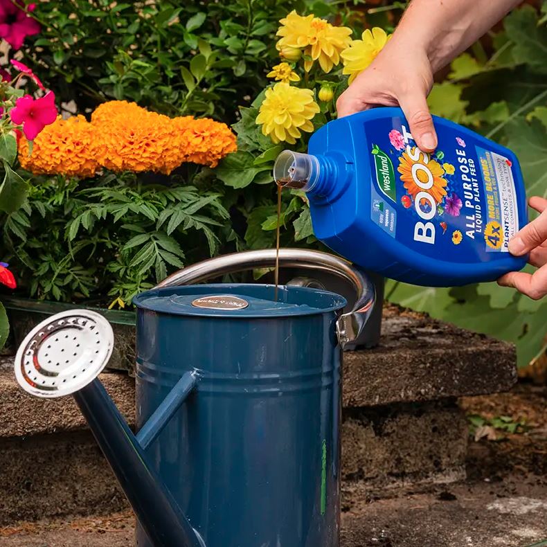 Westland Boost All Purpose Liquid Plant Food 1L