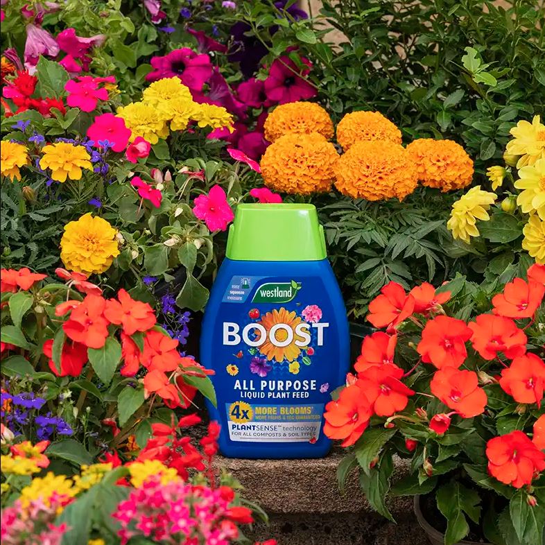 Westland Boost All Purpose Liquid Plant Food 1L