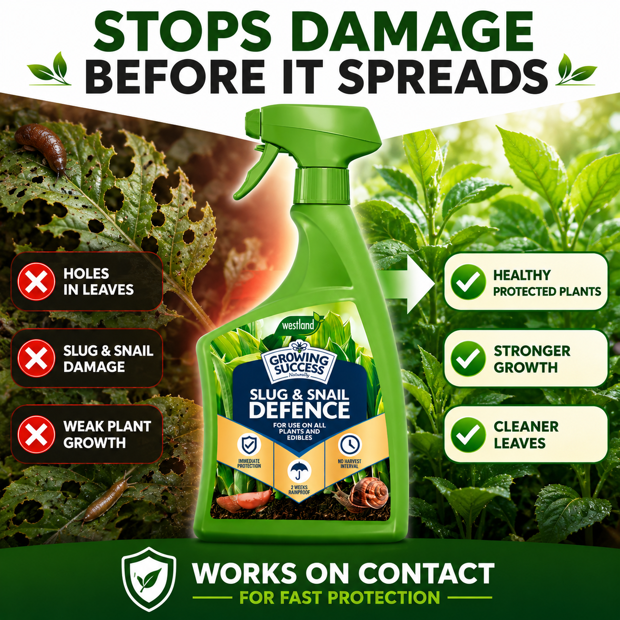 Westland Growing Success Slug & Snail Defence Spray 1L Pest Control