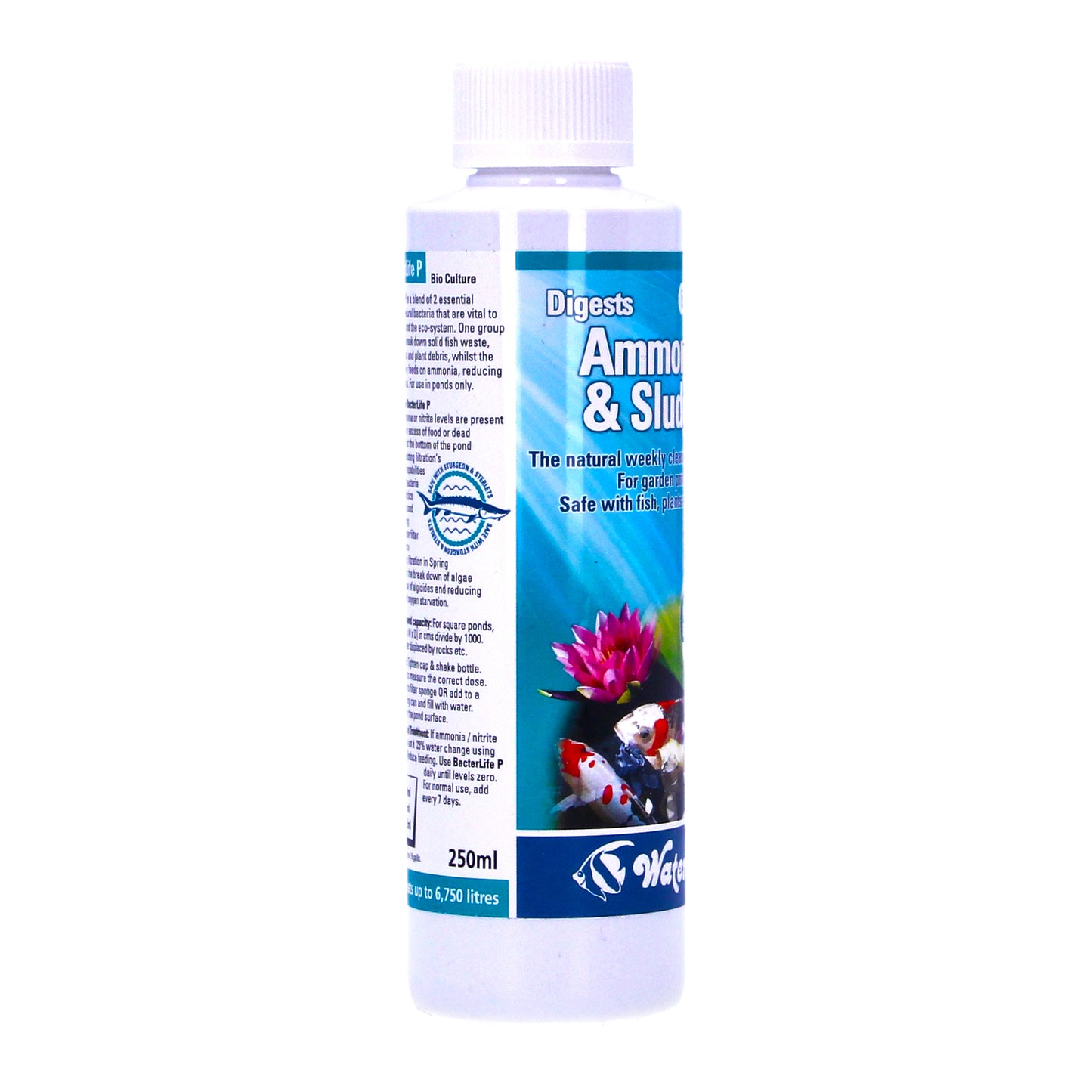 Waterlife Bacterlife P 250ml