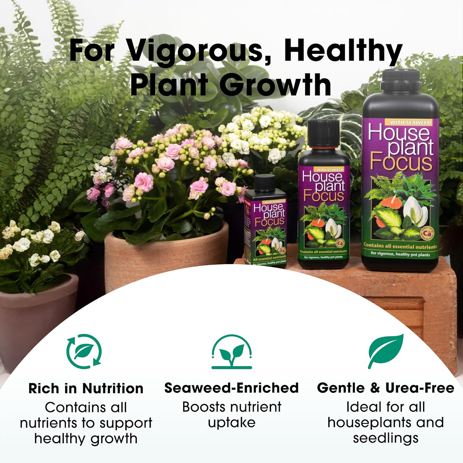 Growth Technology Houseplant Focus Concentrated Liquid Fertiliser 1L