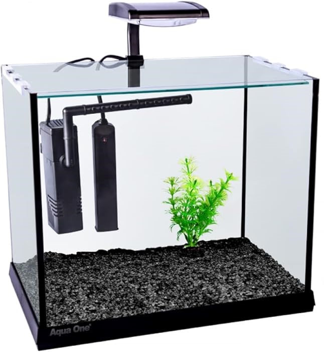 Aqua One Betta Oasis Glass Aquarium Complete Starter Kit From