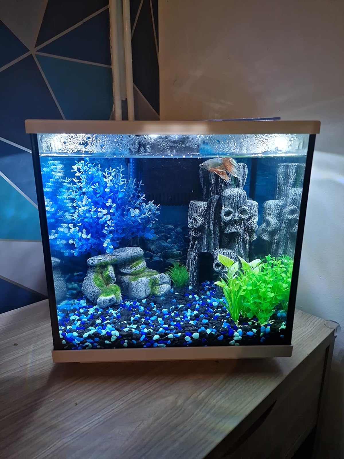 The Complete Aquarium Starter Bundle – 20% Off